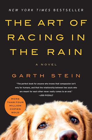 The Art of Racing in the Rain: A Novel by Garth Stein