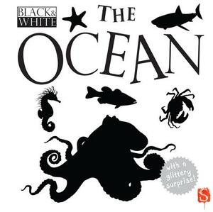 Black & White: The Ocean by David Stewart