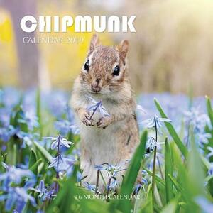 Chipmunk Calendar 2019: 16 Month Calendar by Mason Landon