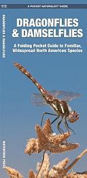 Dragonflies and Damselflies: A Folding Pocket Guide to Familiar Widespread, North American Species by James Kavanagh