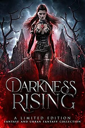 Darkness Rising: A Limited Edition Fantasy and Urban Fantasy Collection by J.J. King, Maya Daniels, C.A. King, Jennifer Ann Schlag, Emmy Gattrell, Koko Brown, Jess Reece, S.C. Stokes, Rachel Rawlings, Becca Blake