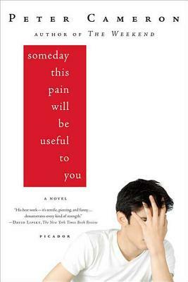 Someday This Pain Will Be Useful to You by Peter Cameron