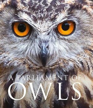 A Parliament of Owls by Mike Unwin