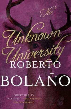 The Unknown University by Roberto Bolaño