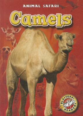 Camels by Megan Borgert-Spaniol