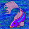 senoritafish's profile picture
