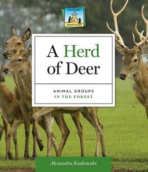 A Herd of Deer: Animal Groups in the Forest by Alex Kuskowski