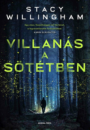 Villanás a sötétben by Stacy Willingham