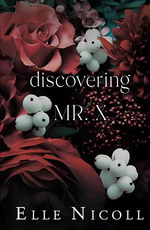 Discovering Mr. X by Elle Nicoll