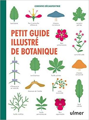 Petit guide illustré de botanique by Corinne Décarpentrie