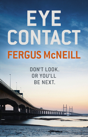 Eye Contact by Fergus McNeill
