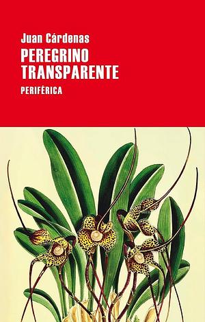 Peregrino transparente by Juan Cárdenas