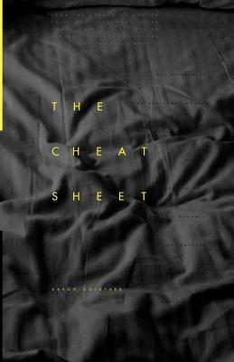 The Cheat Sheet: Stories about the sexes, sex, and sexiness in New York by Aaron Goldfarb