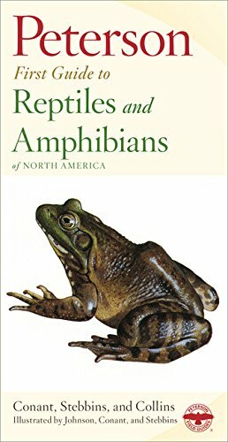 Peterson First Guide to Reptiles and Amphibians by Roger Conant, Roger Tory Peterson, Joseph T. Collins, Robert C. Stebbins