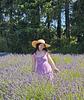 the_perdita's profile picture