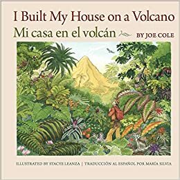 I Built My House on a Volcano by Joe Cole