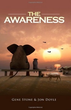 The Awareness by Jon Doyle, Gene Stone