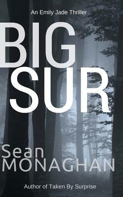 Big Sur by Sean Monaghan