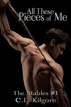 All These Pieces of Me by C.E. Kilgore