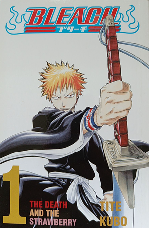 Bleach, Vol. 1: The Death and the Strawberry  by Tite Kubo