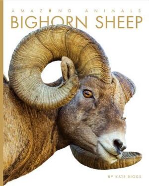 Amazing Animals: Bighorn Sheep by Kate Riggs