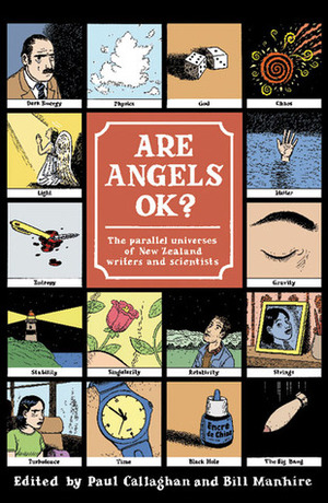Are Angels OK?: The Parallel Universes of New Zealand Writers and Scientists by Paul Callaghan, Paul T. Callaghan