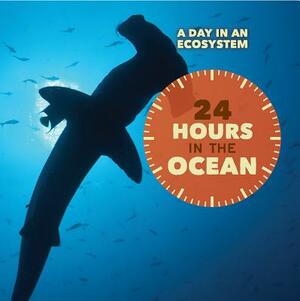 24 Hours in the Ocean by Laura L. Sullivan