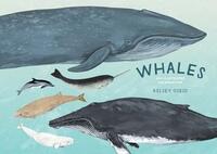 Whales: An Illustrated Celebration by Kelsey Oseid