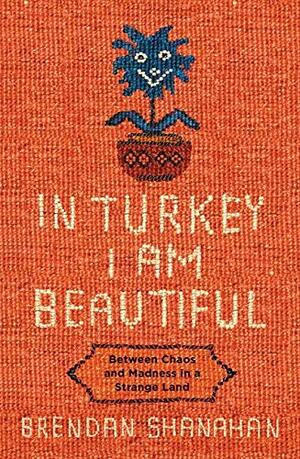 In Turkey I Am Beautiful by Brendan Shanahan