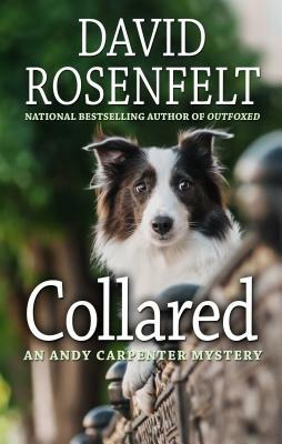 Collared by David Rosenfelt