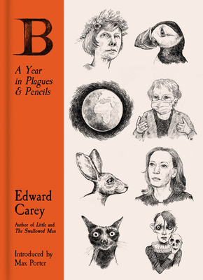 B: A Year in Plagues and Pencils by Edward Carey