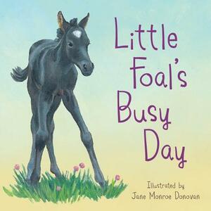 Little Foal's Busy Day by Sleeping Bear Press