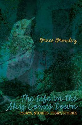 The Life in the Sky Comes Down by Bruce Bromley