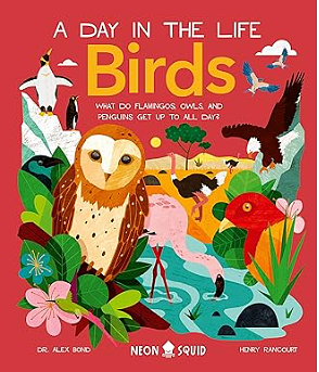 Birds (A Day in the Life): What Do Flamingos, Owls, and Penguins Get Up To All Day? by Alex Bond, Neon Squid