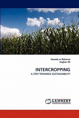 Intercropping by Asghar Ali, Haseeb Ur Rehman