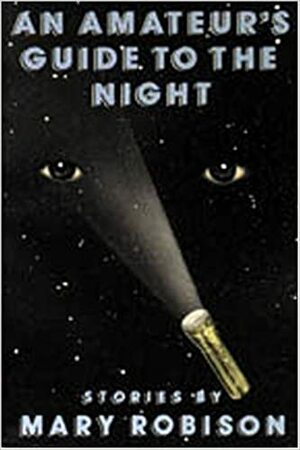 Guida alla notte per principianti by Mary Robison