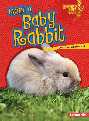 Meet a Baby Rabbit by Jennifer Boothroyd