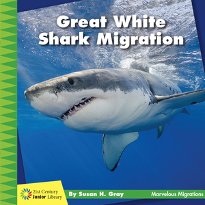 Great White Shark Migration by Susan H. Gray