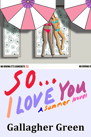 So I Love You: A Summer Novel by Gallagher Green