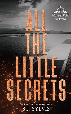 All the Little Secrets by S.J. Sylvis