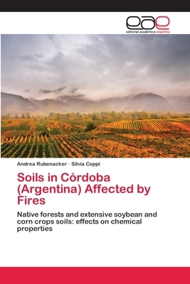 Soils in Córdoba (Argentina) Affected by Fires by Andrea Rubenacker, Silvia Ceppi