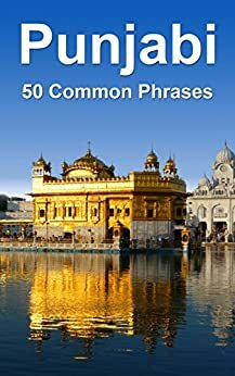 Punjabi: 50 Common Phrases by Alex Castle