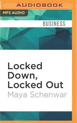 Locked Down, Locked Out: Why Prison Doesn't Work and How We Can Do Better by Maya Schenwar