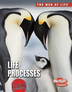 Life Processes by Anna Claybourne