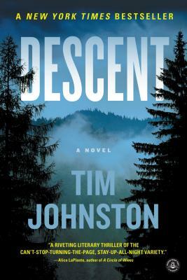 Descent by Tim Johnston