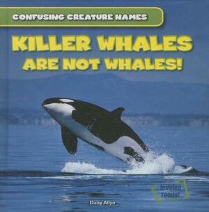 Killer Whales Are Not Whales! by Daisy Allyn