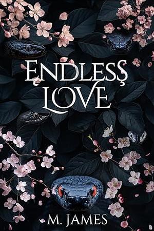 Endless Love: A Dark Mafia Enemies to Lovers Standalone Romance by M. James, M. James