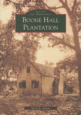 Boone Hall Plantation by Michelle Adams