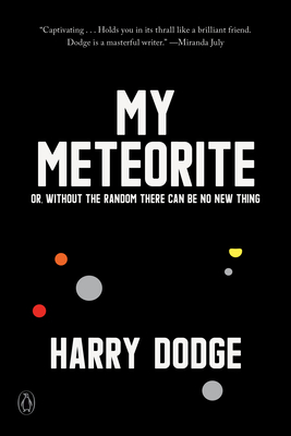 My Meteorite: Or, Without the Random There Can Be No New Thing by Harry Dodge