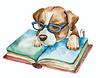booklover28's profile picture